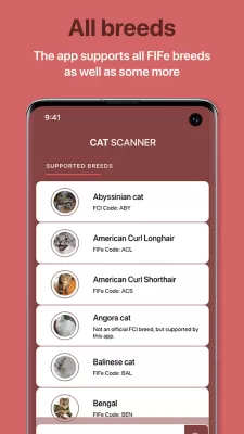 Cat Scanner screenshot2