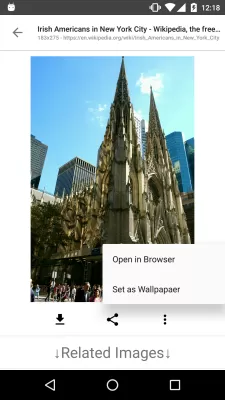 ImageSearchMan screenshot2