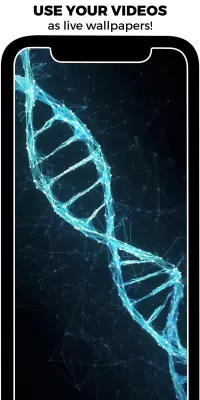 Walloop screenshot1