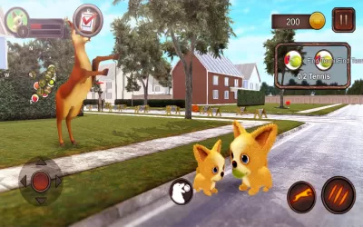 Chihuahua Dog Simulator screenshot1