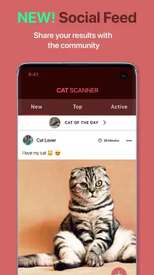 Cat Scanner screenshot1