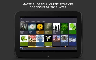 Pulsar Music Player Pro screenshot1