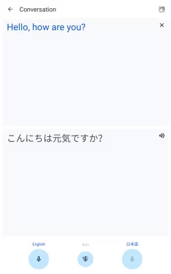 Google Translate screenshot1