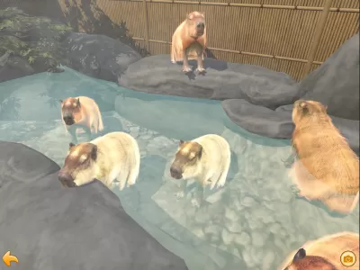 Capybara Zoo screenshot2