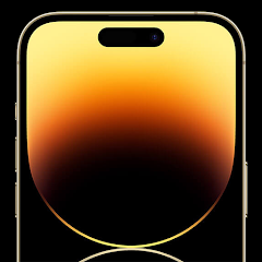 Dynamic Notch MOD APK