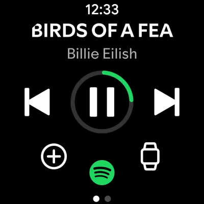 Spotify screenshot1
