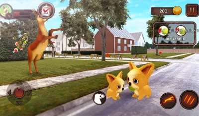 Chihuahua Dog Simulator screenshot2