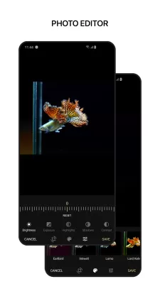 1Gallery screenshot4