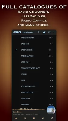 Jazz & Blues Music Radio screenshot1