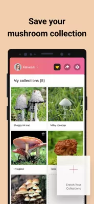 Picture Mushroom screenshot3
