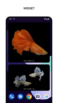 1Gallery screenshot2