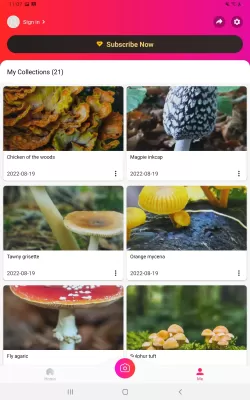 Picture Mushroom screenshot1