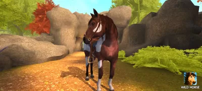 Wild Horse Spirit Adventure screenshot4