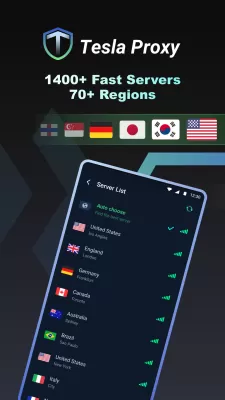 Tesla Proxy screenshot1