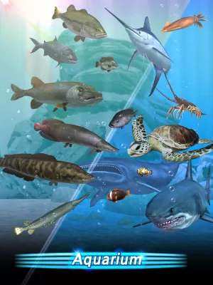 Fishing Season screenshot2