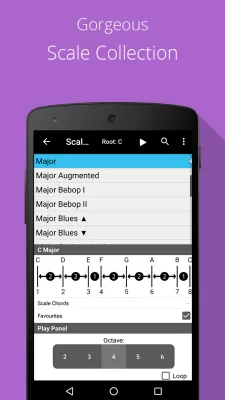 Piano Chord, Scale, Progressio screenshot2