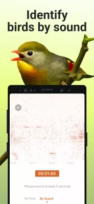 Picture Bird screenshot1