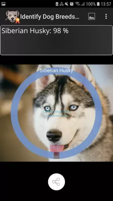 Identify Dog Breeds screenshot4