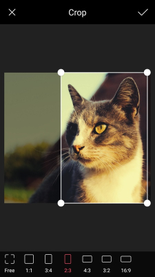 Pomelo Camera screenshot1
