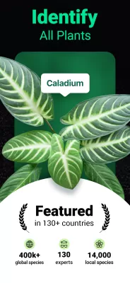 Plantum screenshot1