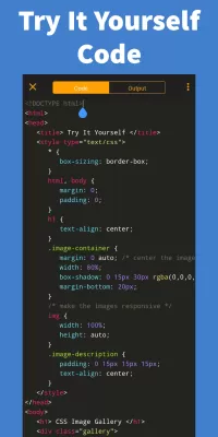 Learn CSS - Pro screenshot2