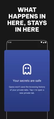 Opera browser screenshot1
