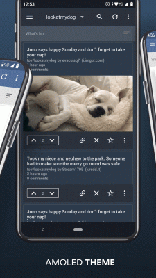 BaconReader Premium for Reddit screenshot3