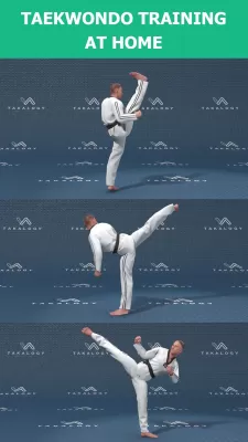 Mastering Taekwondo at Home screenshot2