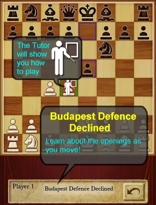 Chess Pro screenshot2