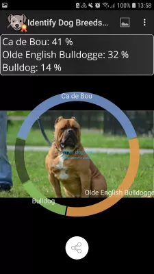 Identify Dog Breeds screenshot1