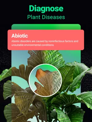 Plantum screenshot2