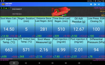 VAG DPF screenshot2