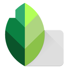 Snapseed MOD APK