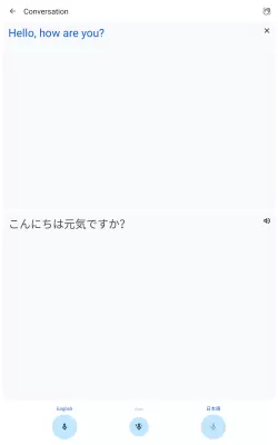 Google Translate screenshot3