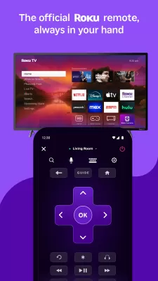 Roku screenshot1