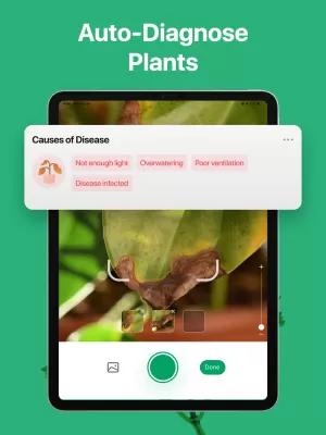 PictureThis screenshot1