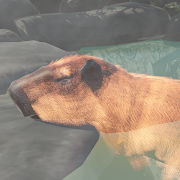 Capybara Zoo MOD APK
