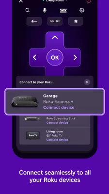 Roku screenshot2