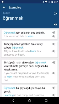 Turkish English Dictionary screenshot2