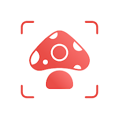 Picture Mushroom MOD APK