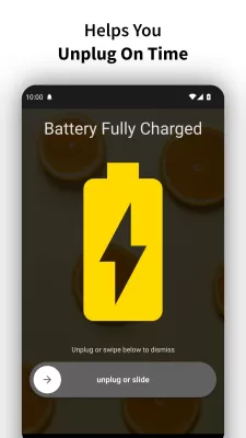 Full Battery Charge Alarm screenshot4