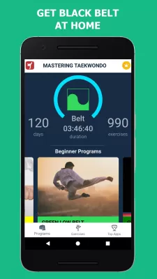 Mastering Taekwondo at Home screenshot1