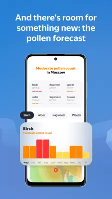 Yandex Weather screenshot1