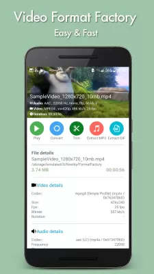 Video Format Factory screenshot1