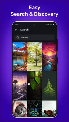 Wallpapers 4K, HD Backgrounds screenshot2