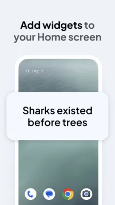 Daily Random Facts screenshot3