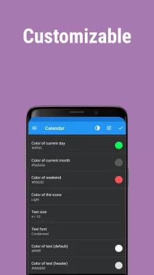 Calendar Widget screenshot2