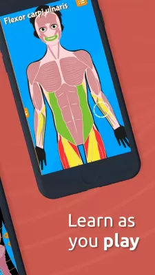 Human Anatomy screenshot2