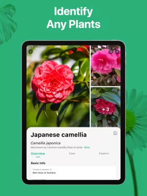 PictureThis screenshot4