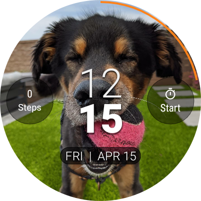 PhotoWear Classic Watch Face screenshot2